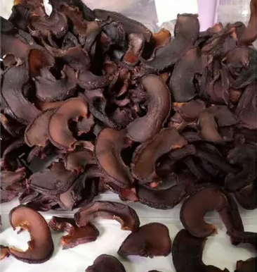 🌿 Asam Gelugur Kering Kampung Asli